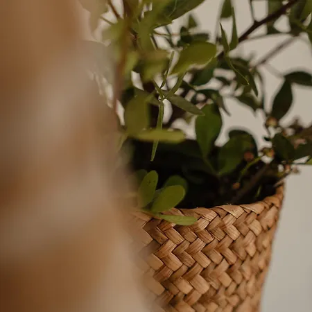 Simiu With Private Swimming Pool Αγία Άννα