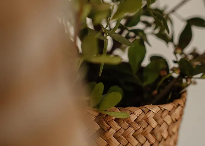 Simiu With Private Swimming Pool Ajía Ána